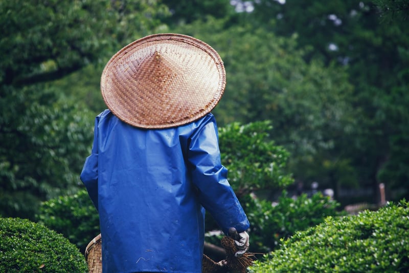 Garden Enthusiasts